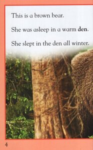 Bears (Kingfisher Readers Level 1)