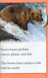 Bears (Kingfisher Readers Level 1)