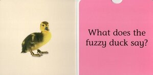 Noisy Farm (DK Fun Flaps) (Board Book)