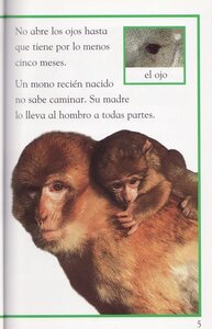 Crias del mundo animal ( Wild Baby Animals ) ( DK Readers Level 1 Spanish )