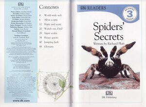 Spiders Secrets (DK Readers Level 3)