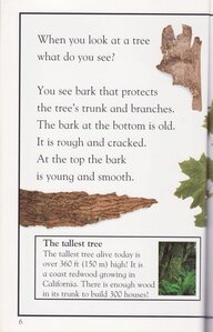 Secret Life of Trees (DK Reader Level 2)