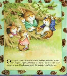 Story of Peter Rabbit (Board Book)