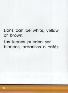 Lions (Zoo Animal Friends Bilingual) (Spanish/Eng Bilingual)