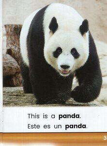Pandas (Zoo Animal Friends Bilingual) (Spanish/Eng Bilingual)