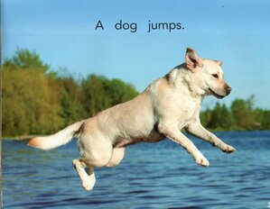 Just Jump!