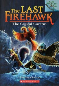 Crystal Caverns ( Last Firehawk #02 )