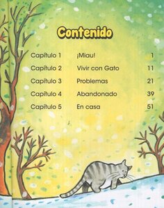 El Gato Gordo de Dragón (Dragon's Fat Cat) (Dragon Spanish #02)