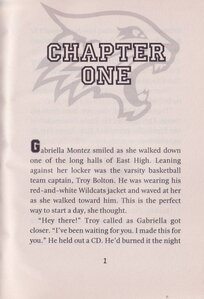 Turn Up the Heat (Stories From East High #10)