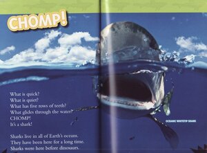 Sharks (National Geographic Kids Readers Level 2)