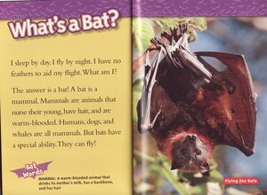 Bats (National Geographic Kids Readers Level 2)