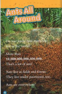 Ants (National Geographic Kids Readers Level 1) (Paperback) UK