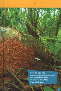 Ants (National Geographic Kids Readers Level 1) (Paperback) UK