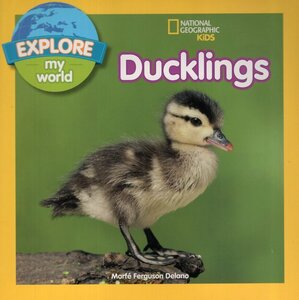 Ducklings ( Explore My World )
