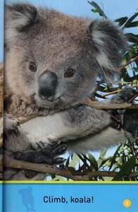 Climb Koala! (National Geographic Kids Readers Level Pre-Reader)
