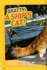 Adventure Cat!: And True Stories of Adventure Cats! (National Geographic Kids Chapters)