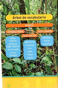 Agárrate Mono! (Hang On Monkey) (National Geographic Kids Readers Level Pre-Reader Spanish)
