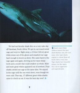 Face to Face with Sharks (National Geographic Kids Face to Face)