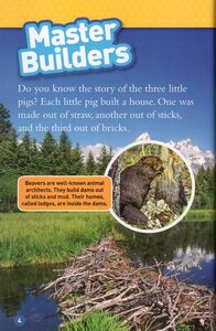 Animal Architects (National Geographic Kids Readers Level 3)