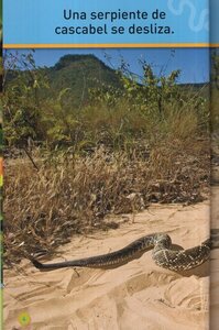 Deslízate Serpiente! (Slither Snake) (National Geographic Kids Readers Level Pre-Reader Spanish)
