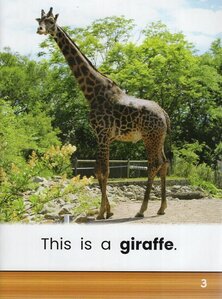 Giraffes (Zoo Animal Friends)