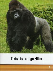 Gorillas (Zoo Animal Friends)