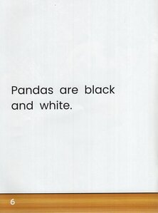 Pandas (Zoo Animal Friends)