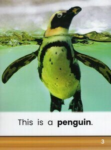 Penguins (Zoo Animal Friends)