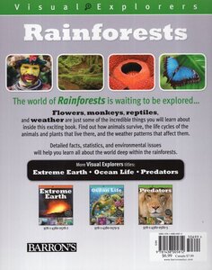 Rainforests (Visual Explorers)