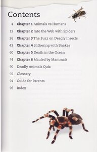 Spiders and Other Deadly Animals ( DK Readers Level 4 )