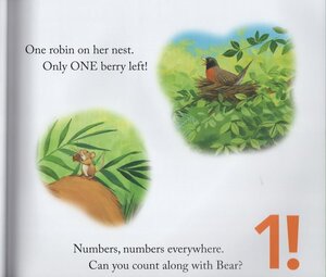 Bear Counts ( Bear Books ) (Paperback)