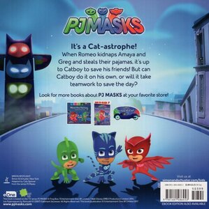 Into the Night to Save the Day! (PJ Masks) (8x8) (B)