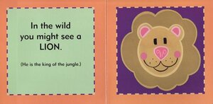 In the Wild You Might See... (First Words) (Board Book)