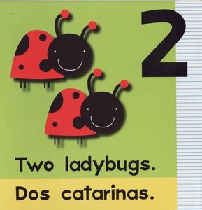 My First Counting Book / Mi primer libro de numeros (My First... Bilingual) (Board Book) (6x6)