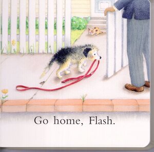 Go Home Flash (Board Book)