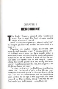 Destruction of the Overworld: An Unofficial Novel: A Gameknight999 Adventure (Herobrine Reborn #02)