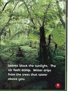 Let's Visit the Rain Forest (Lightning Bolt Books: Biome Explorers)