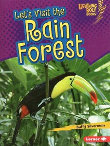 Let's Visit the Rain Forest ( Lightning Bolt Books: Biome Explorers )