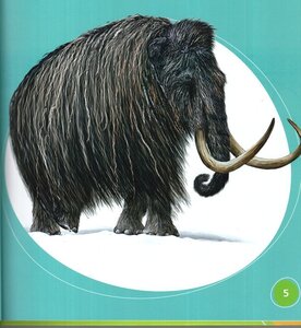El Mamut Lanudo (Woolly Mammoth) (Bumba Books en Español: Dinosaurios y Bestias Prehistóricas (Dinosaurs and Prehistoric Beasts))