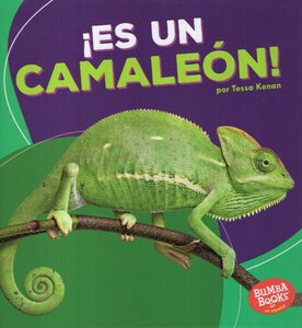 Es Un Camaleón! ( It's a Chameleon! ) ( Bumba Books en Español: Animales de la Selva Tropical ( Rain Forest Animals ) )