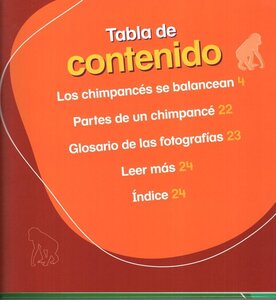 Es Un Chimpancé! (It's a Chimpanzee! ) (Bumba Books en Español: Animales de la Selva Tropical (Rain Forest Animals))