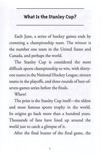 What Is the Stanley Cup? (What Was?)