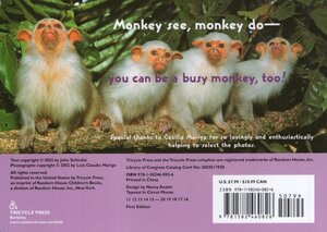 Busy Monkeys (Busy Books) (Board Book)