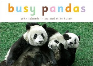 Busy Pandas ( Busy Books )