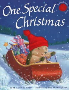 One Special Christmas ( Touch and Feel Book )