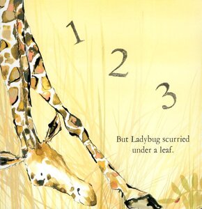 Counting Stars (Board Book)