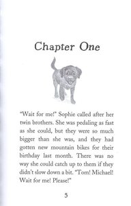 Buttons the Runaway Puppy (Pet Rescue Adventures) (Paperback)