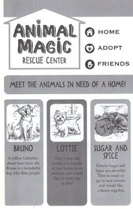 Homeless Foal (Animal Rescue Center) (Paperback)