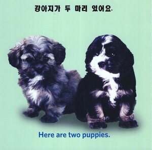 How Many? (Korean/English) (Board Book)