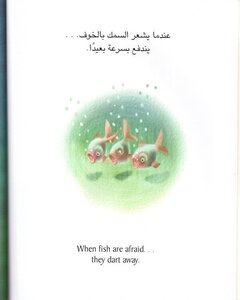 When Someone Is Afraid (Arabic/English)